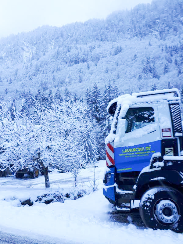 camion_Montriond
